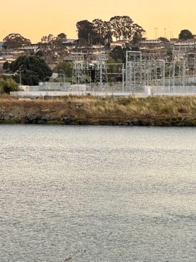 Butcher Town Dog Run - San Francisco, CA