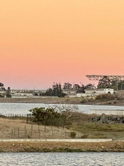 Butcher Town Dog Run - San Francisco, CA