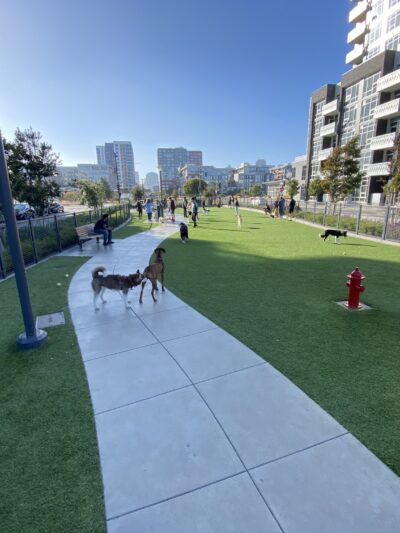 Channel Street Dog Park - San Francisco, CA