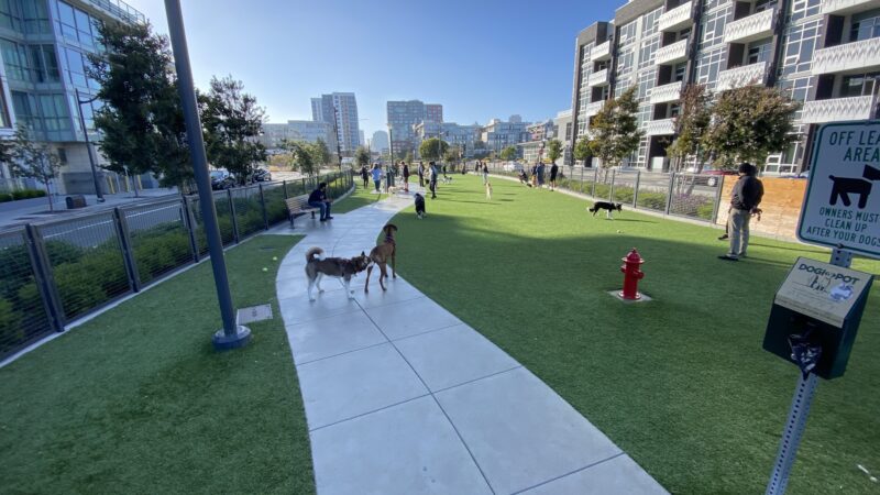 Channel Street Dog Park - San Francisco, CA