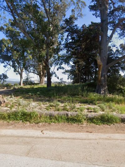 GGP Dog Play Area 2 - San Francisco, CA