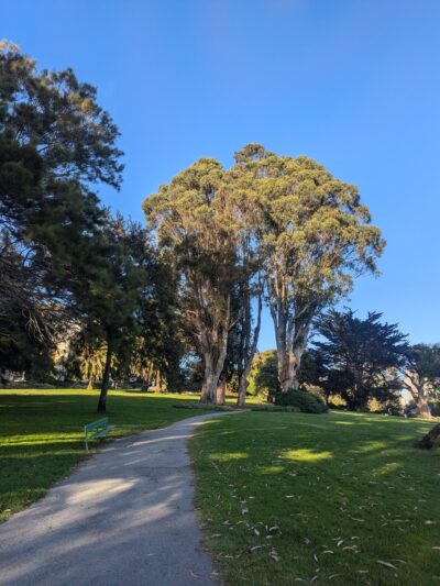 Jefferson Square Park - San Francisco, CA