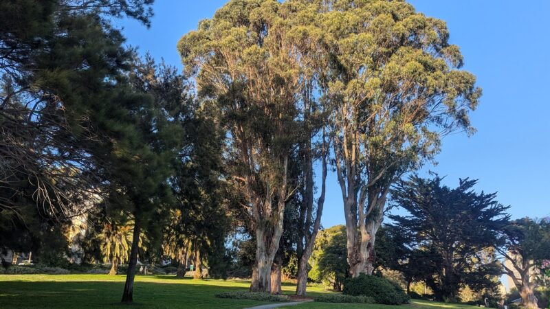 Jefferson Square Park - San Francisco, CA