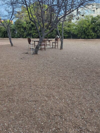 Progress Dog Run - San Francisco, CA