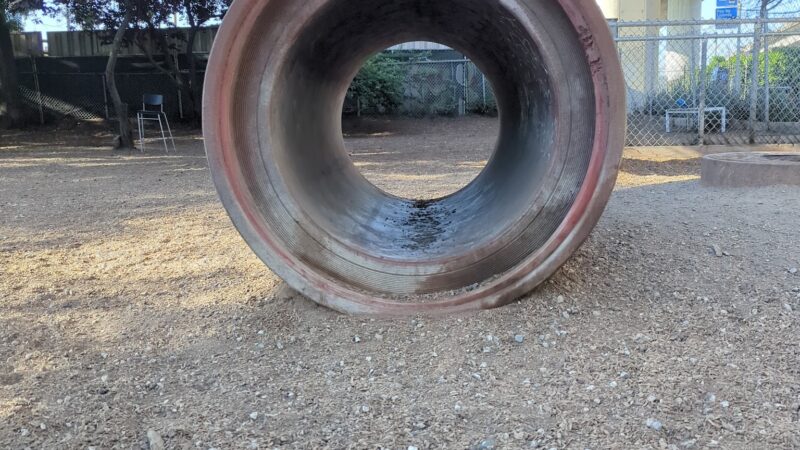 Progress Dog Run - San Francisco, CA