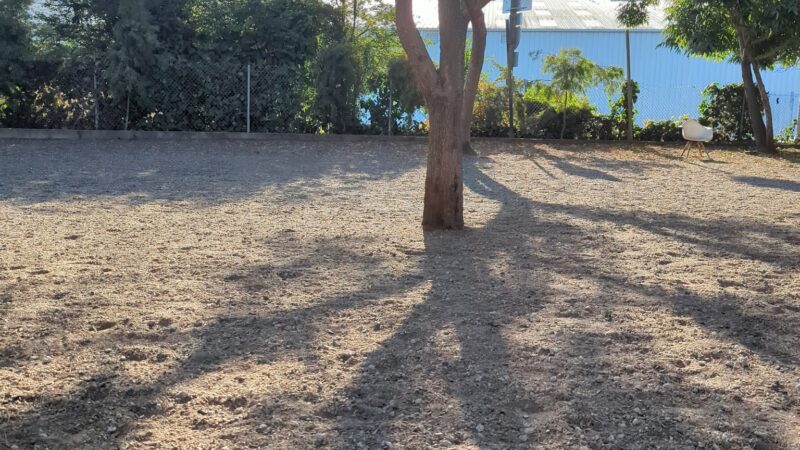 Progress Dog Run - San Francisco, CA