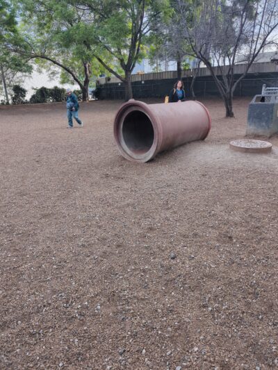 Progress Dog Run - San Francisco, CA