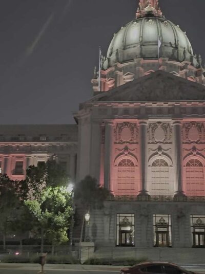 Urban Oasis Dog Park - San Francisco, CA