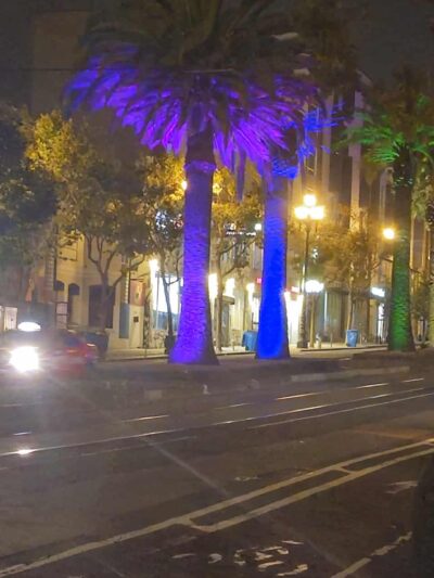 Urban Oasis Dog Park - San Francisco, CA