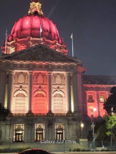 Urban Oasis Dog Park - San Francisco, CA