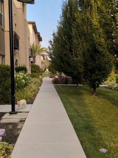 Orchard Park - San Jose, CA