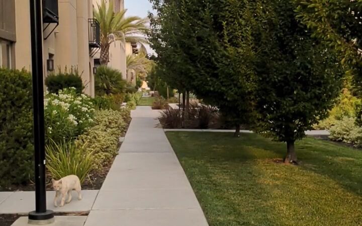 Orchard Park - San Jose, CA