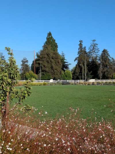 Orchard Park - San Jose, CA