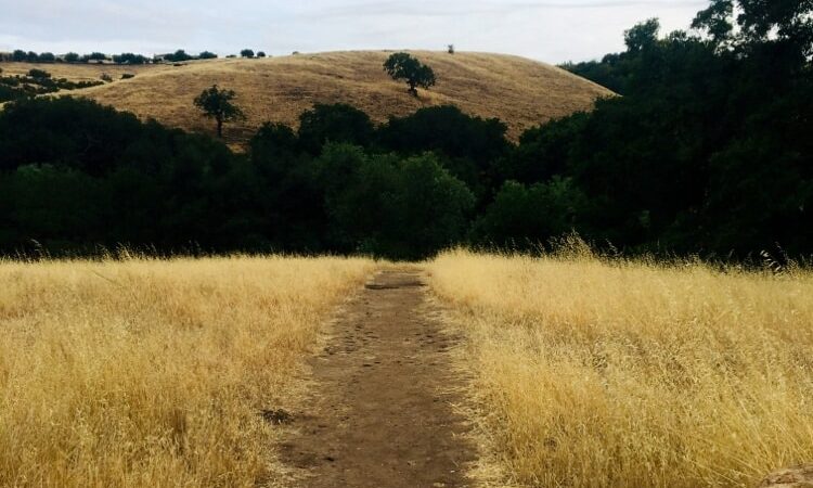 Silver Creek Linear Park - San Jose, CA