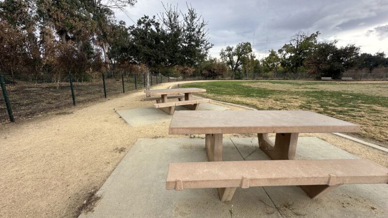 Watson Dog Park - San Jose, CA