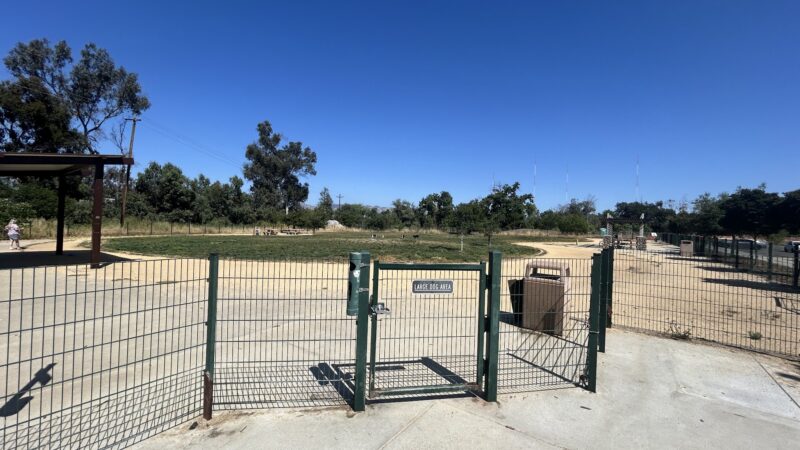 Watson Dog Park - San Jose, CA