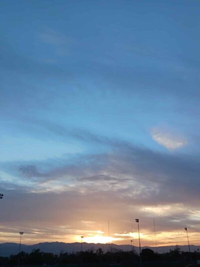 Watson Dog Park - San Jose, CA