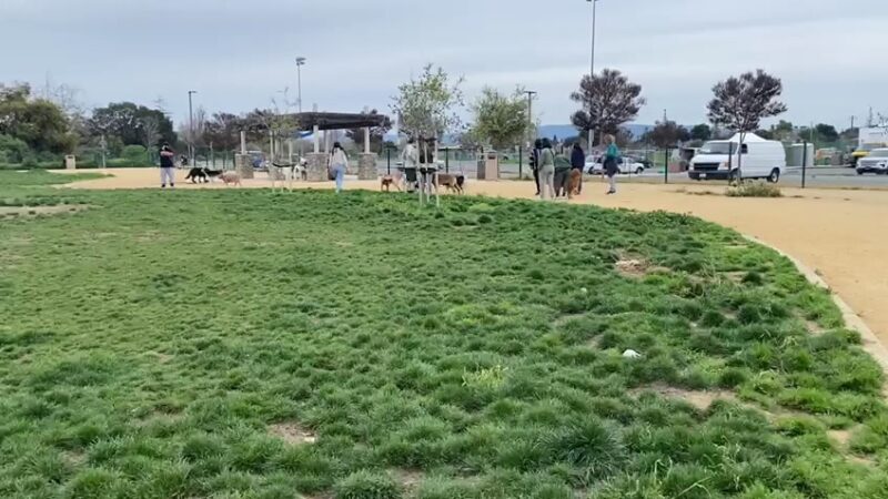 Watson Dog Park - San Jose, CA