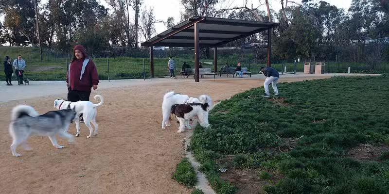 Watson Dog Park - San Jose, CA