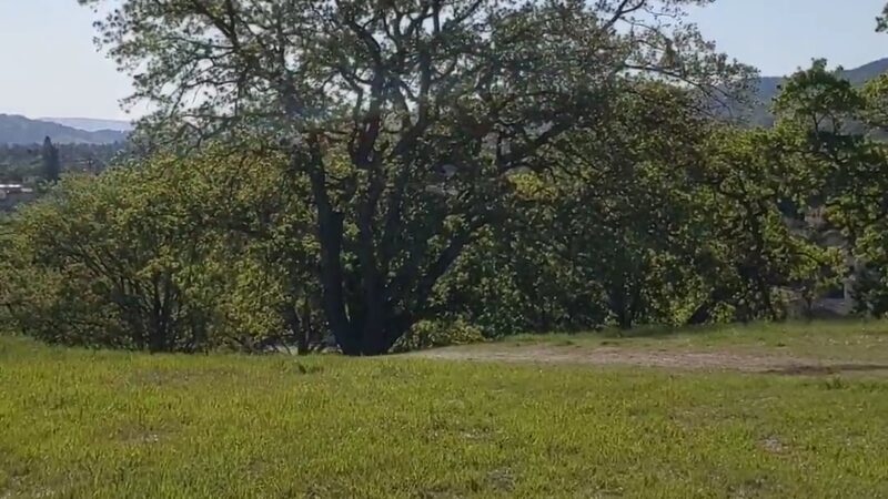 Almaden Meadows Park - San Jose, CA