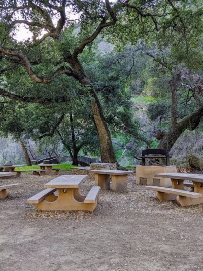 Alum Rock Park - San Jose, CA