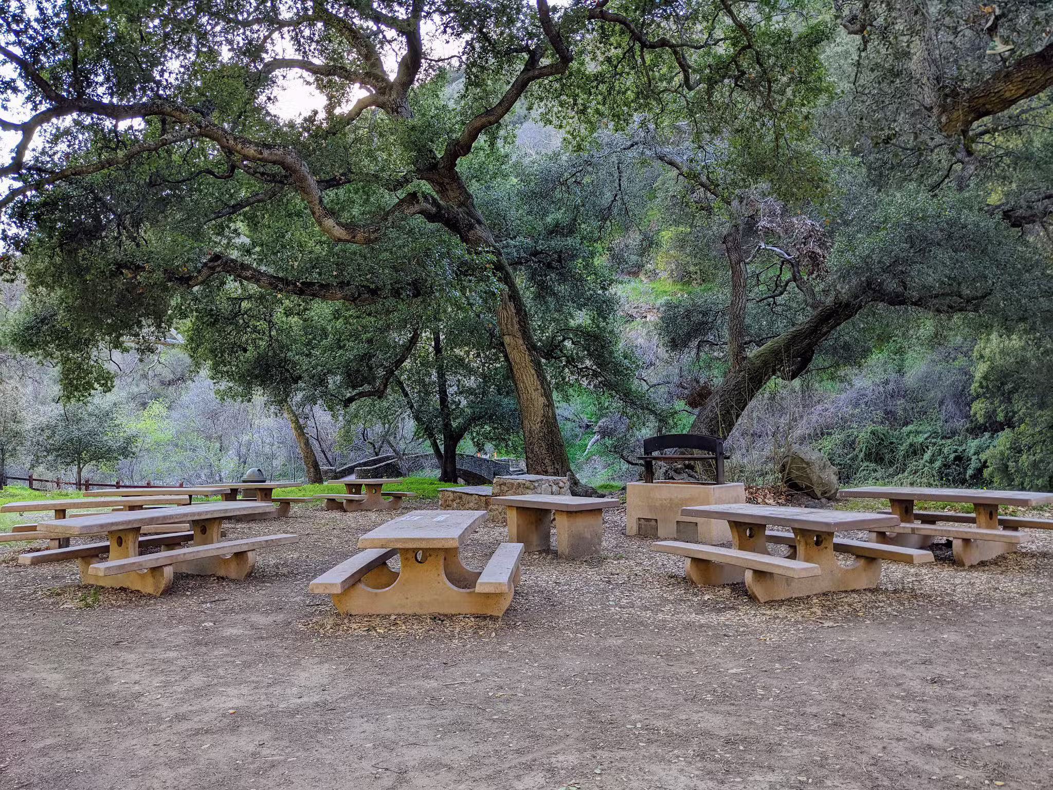 Alum Rock Park - San Jose, CA