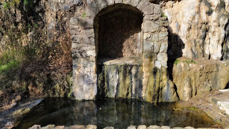 Alum Rock Park - San Jose, CA