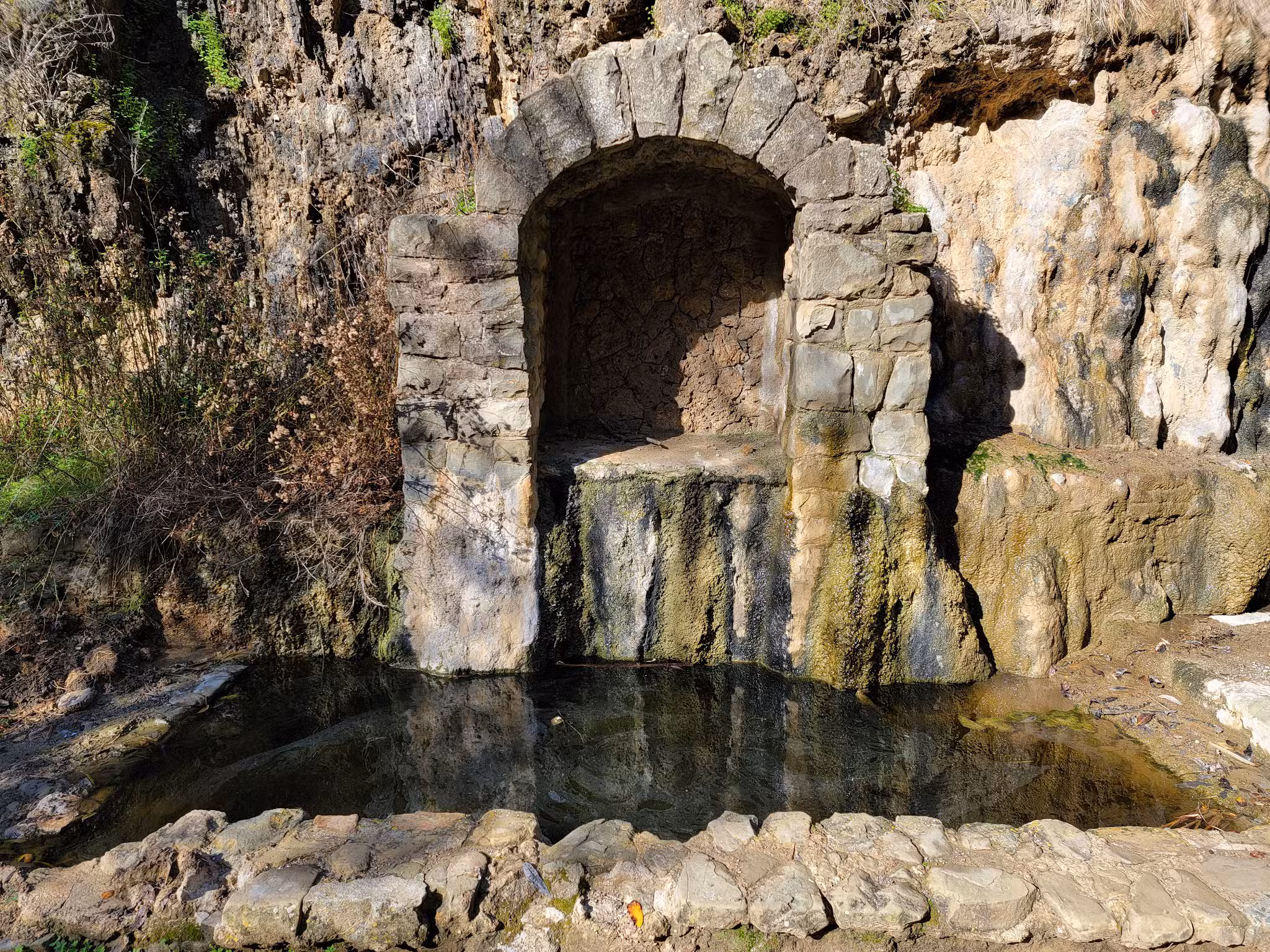 Alum Rock Park - San Jose, CA