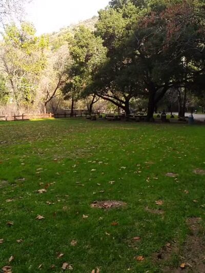 Alum Rock Park - San Jose, CA