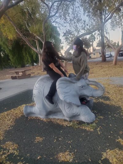 Calero Park - San Jose, CA