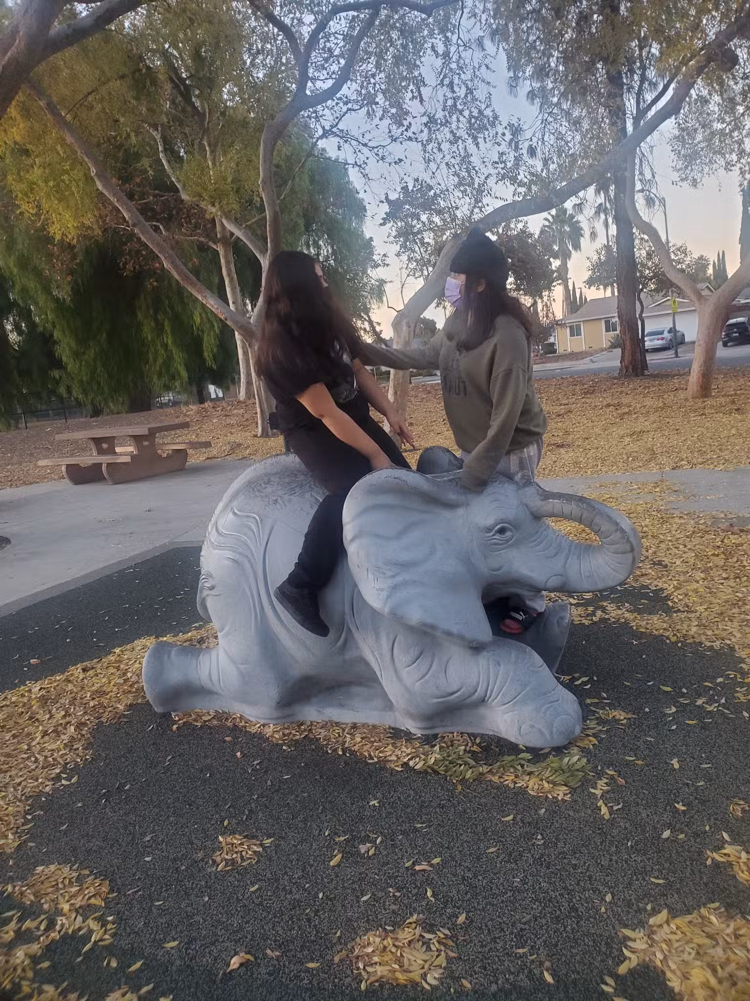 Calero Park - San Jose, CA