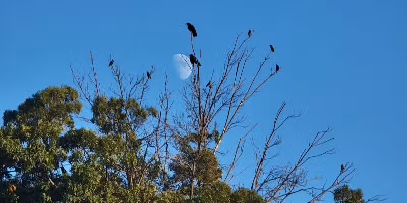 Calero Park - San Jose, CA