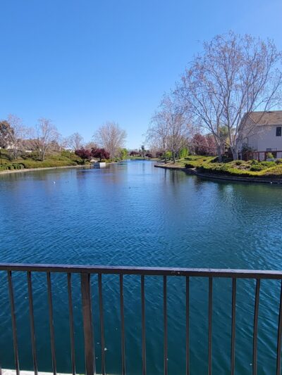 Casabella Park - San Jose, CA