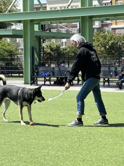 Del Monte Park - San Jose, CA