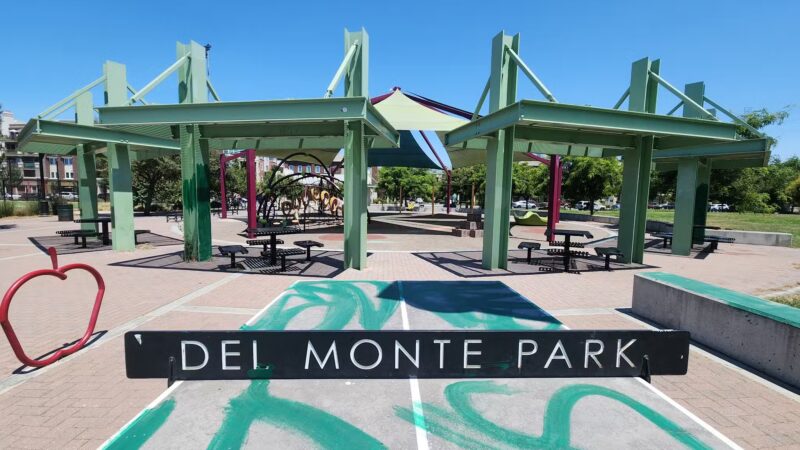 Del Monte Park - San Jose, CA