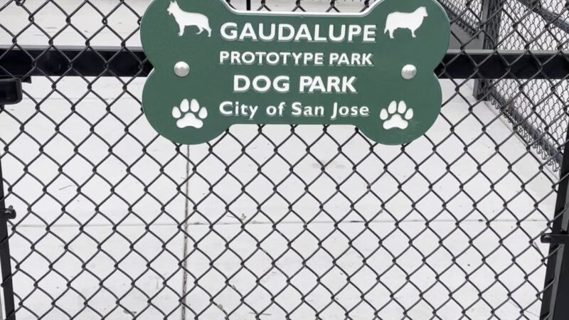 Guadalupe Dog Park - San Jose, CA