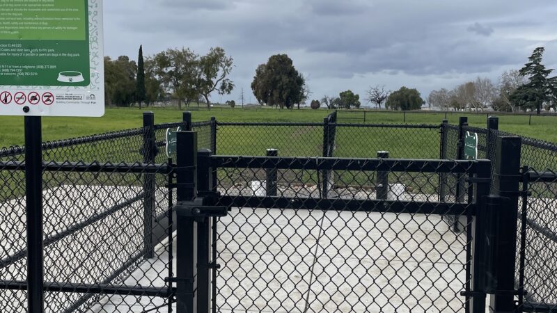 Guadalupe Dog Park - San Jose, CA