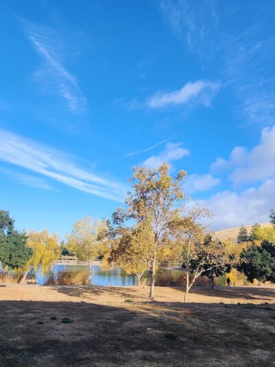 Hellyer County Park - San Jose, CA