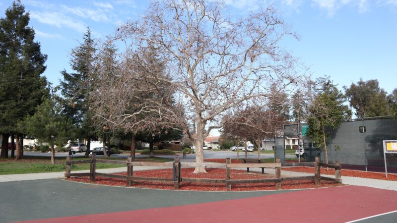 Houge Park - San Jose, CA