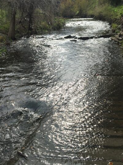 Los Gatos Trail - San Jose, CA