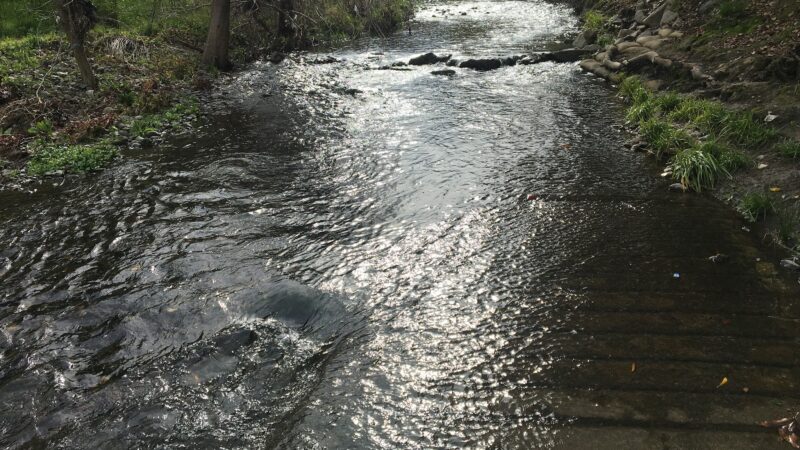 Los Gatos Trail - San Jose, CA