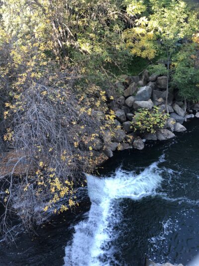 Los Gatos Trail - San Jose, CA