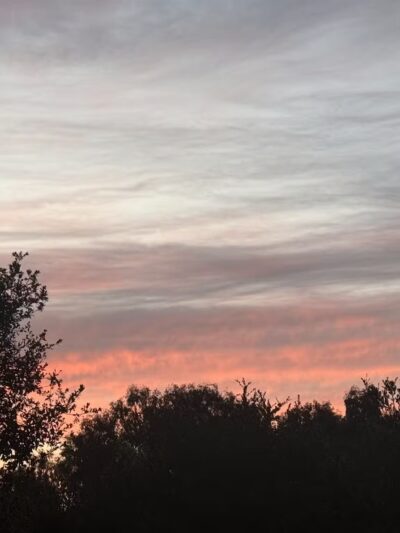 Los Gatos Trail - San Jose, CA