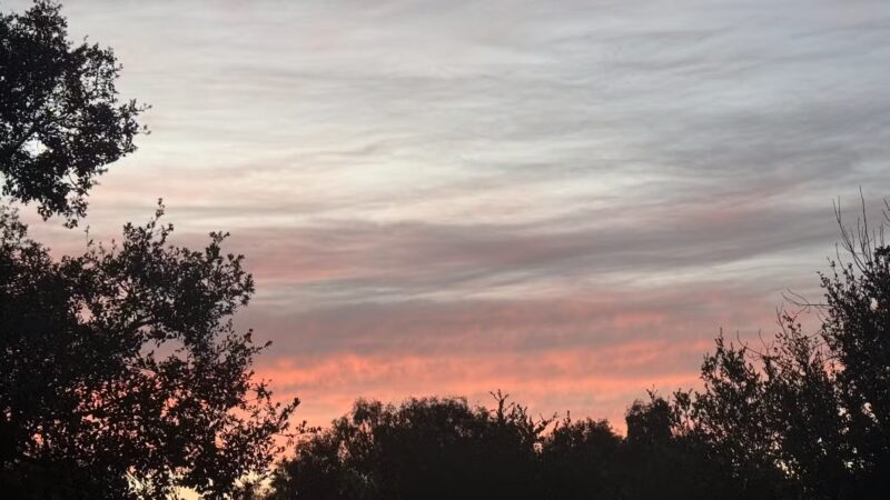 Los Gatos Trail - San Jose, CA