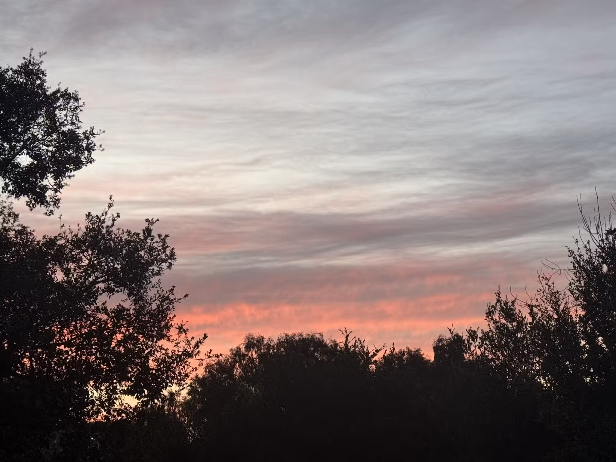 Los Gatos Trail - San Jose, CA