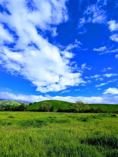 Montgomery Hill Park - San Jose, CA