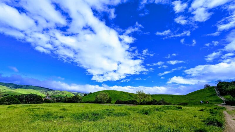 Montgomery Hill Park - San Jose, CA