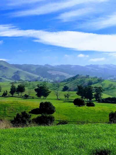 Montgomery Hill Park - San Jose, CA