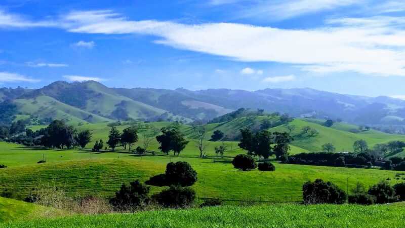 Montgomery Hill Park - San Jose, CA