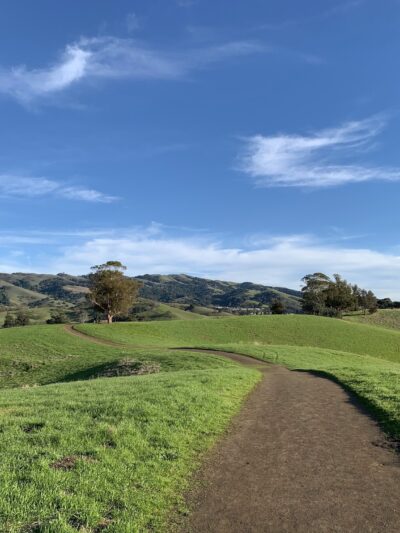 Montgomery Hill Park - San Jose, CA